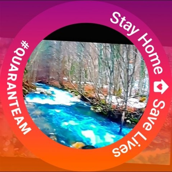 Meet your Posher, Carol - Picture 1 of 1